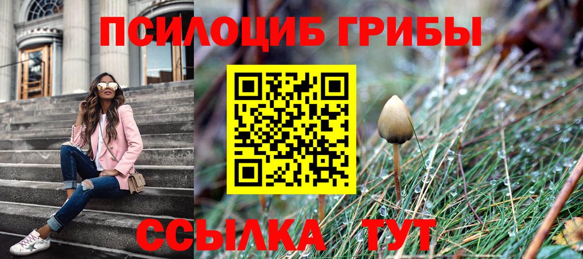 Галлюциногенные грибы мицелий Тосно