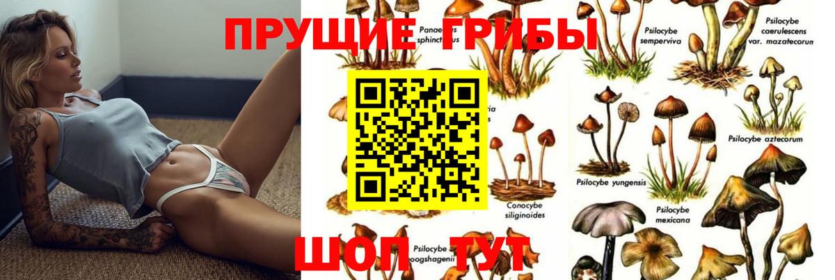 Псилоцибиновые грибы мухоморы  Вход с VPN  Тосно 