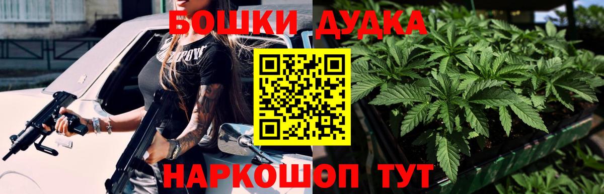 Тосно  Бошки Шишки планчик  Вход с VPN  Каннабис Bruce Banner  Конопля семена 